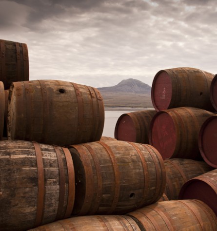 invest in whisky barrels