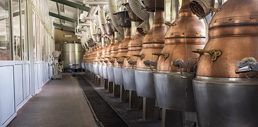 A series of copper stills gleam in the distillery, their craftsmanship highlighted by ventilation pipes above and an adjacent walkway, embodying premium whisky investment quality.
