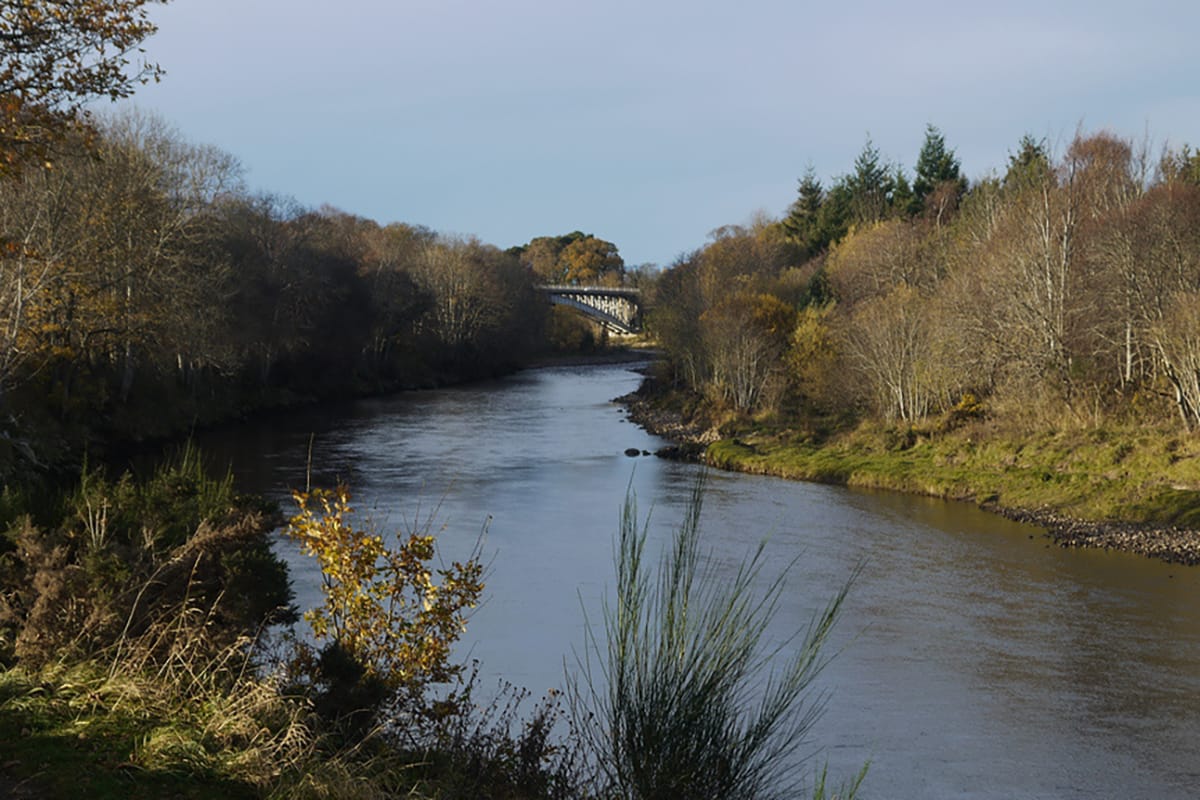 A tranquil river meanders through a lush wooded landscape, with an elegant bridge visible in the distance beneath a pristine sky, embodying the essence of high-value whisky investment imagery.