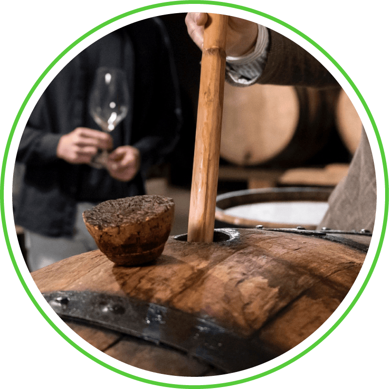 A whisky expert examines a cask with a tool as another person holds a tasting glass; aging whisky barrels are stacked behind them.