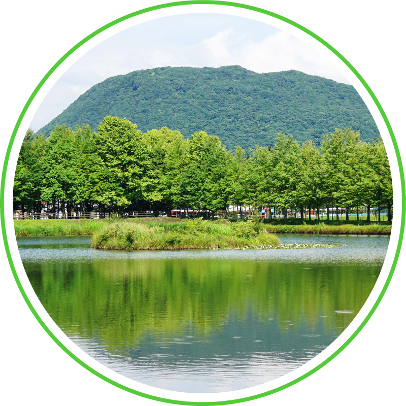A tranquil lake reflects green trees and a forested hill, evoking whisky's natural origins and purity on our investing website.
