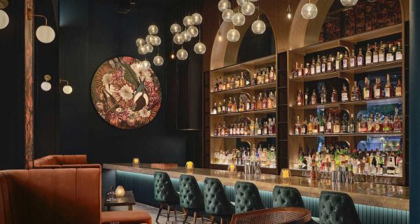 A chic bar interior features a long counter adorned with teal velvet barstools, perfect for enjoying high-value whisky brands. Shelves lined with an array of premium bottles highlight the investment-worthy selection. Warm lighting from globe fixtures accents the space, complemented by large decorative wall art. Brown leather seating adds to the luxurious ambiance, underscoring quality and sophistication.