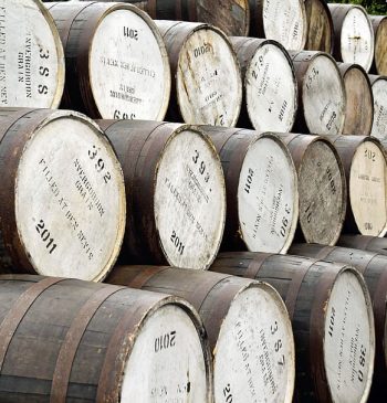 The outdoor arrangement of wooden barrels with numbered and dated white ends exemplifies short-term whisky aging, showcasing high-value investments in premium whisky brands.