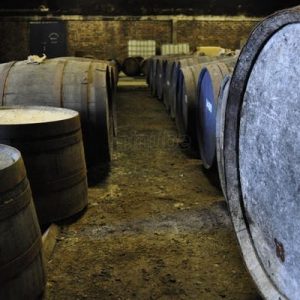 In a dimly lit cellar, premium wooden barrels of high-value whisky investment line the rustic dirt floor.